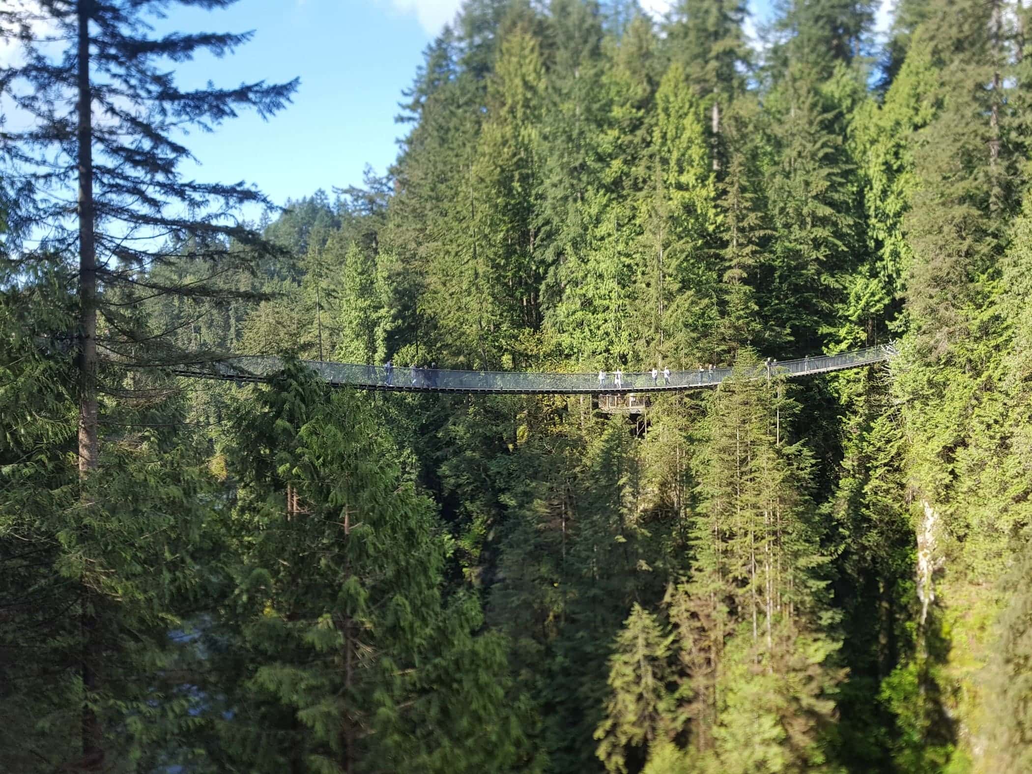 Capilano Suspension Bridge - Image by Holidays Beckon