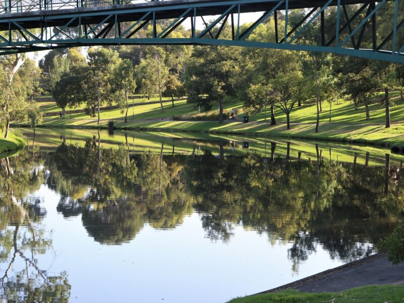 Adelaide - Image by Nel Botha on Pixabay