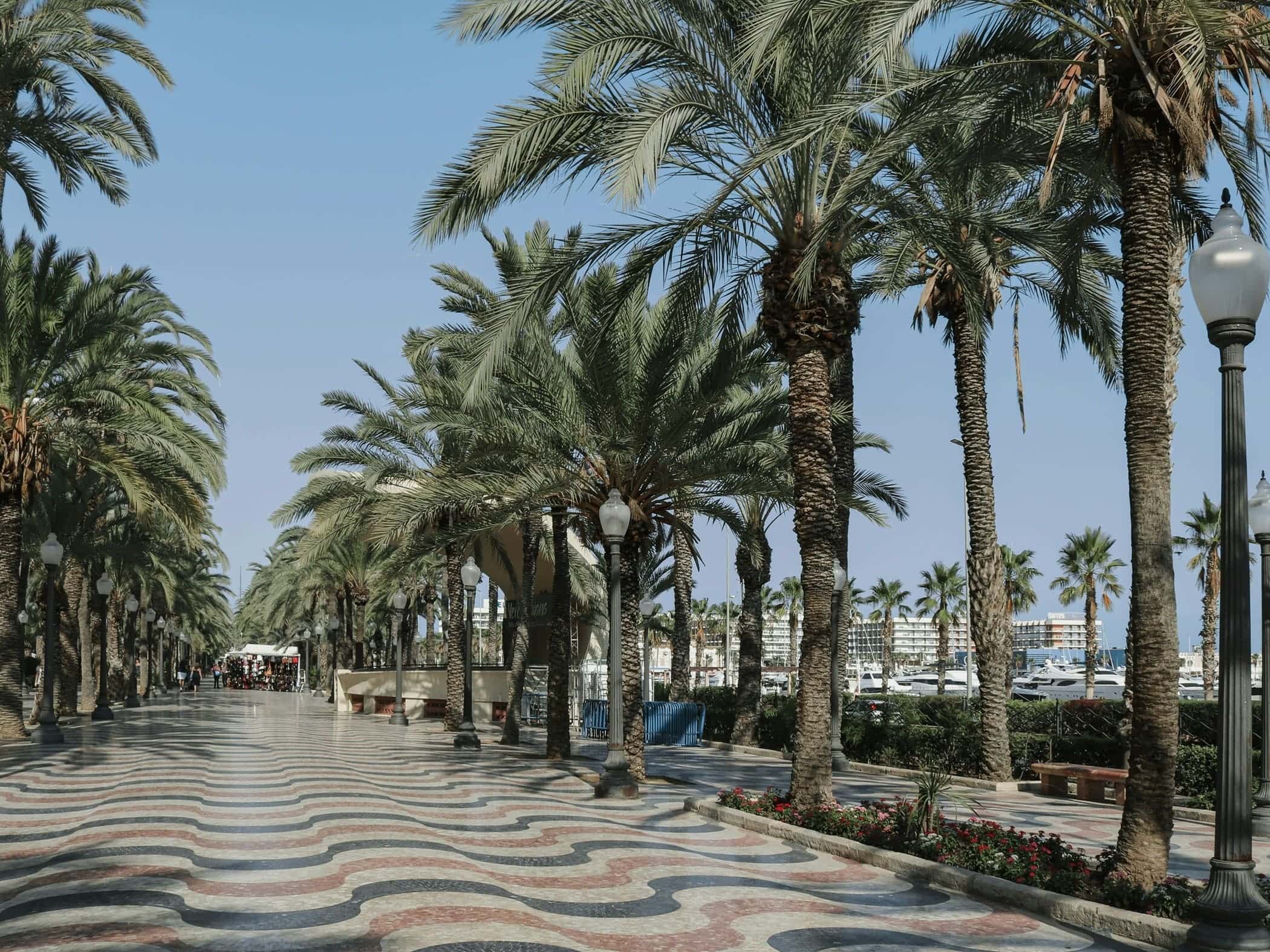 Alicante - Image by Sara Ruffoni on Unsplash