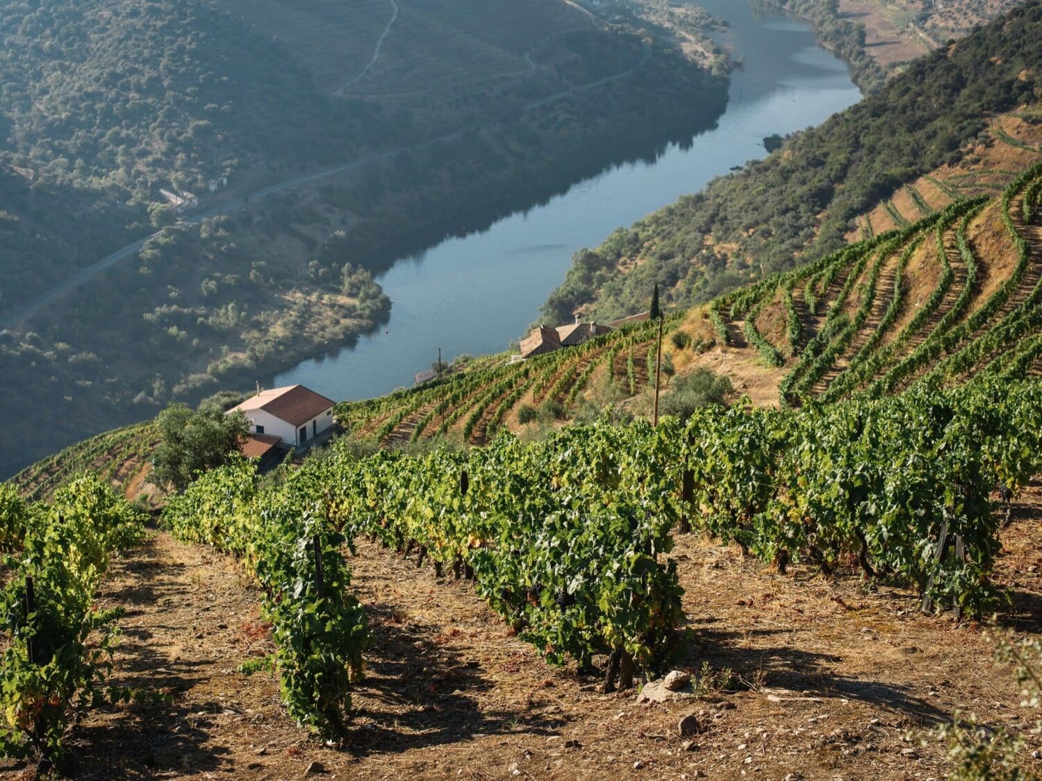Douro River Portugal - Image by Maksym Kaharlytskyi on Unsplash