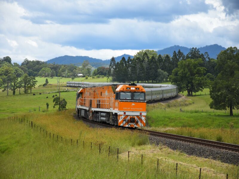 JBRE Great Southern Hero Nana Glenn NSW