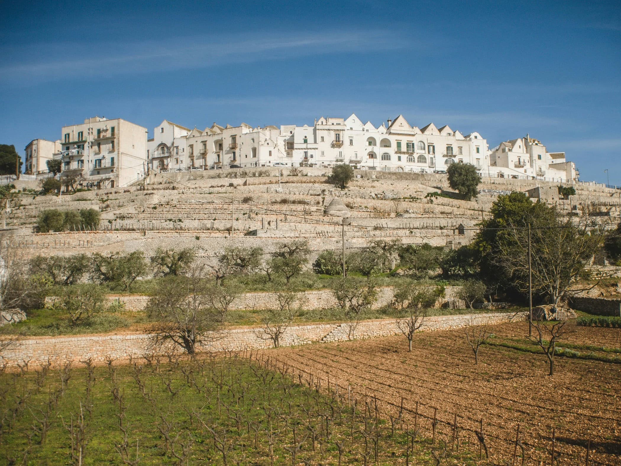 Puglia Locorotondo Bari Italy - Image by Olga Angelucci on Unsplash
