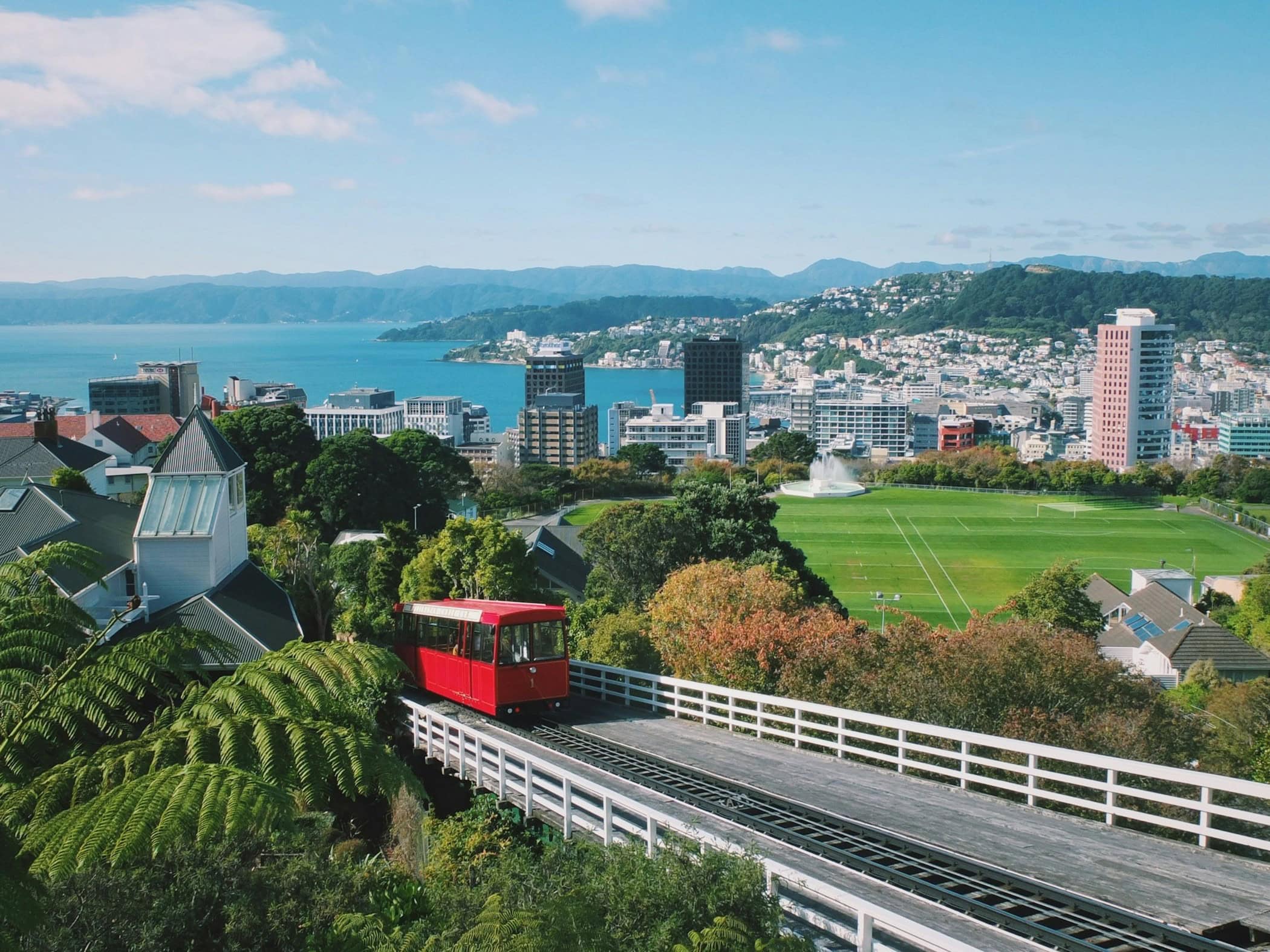 Wellington - Image by Joao Marcelo Martins on Unsplash