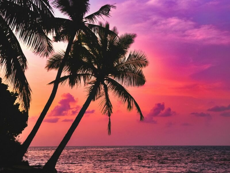 Tropical Holidays - Image by Saiph Muhammad on Unsplash