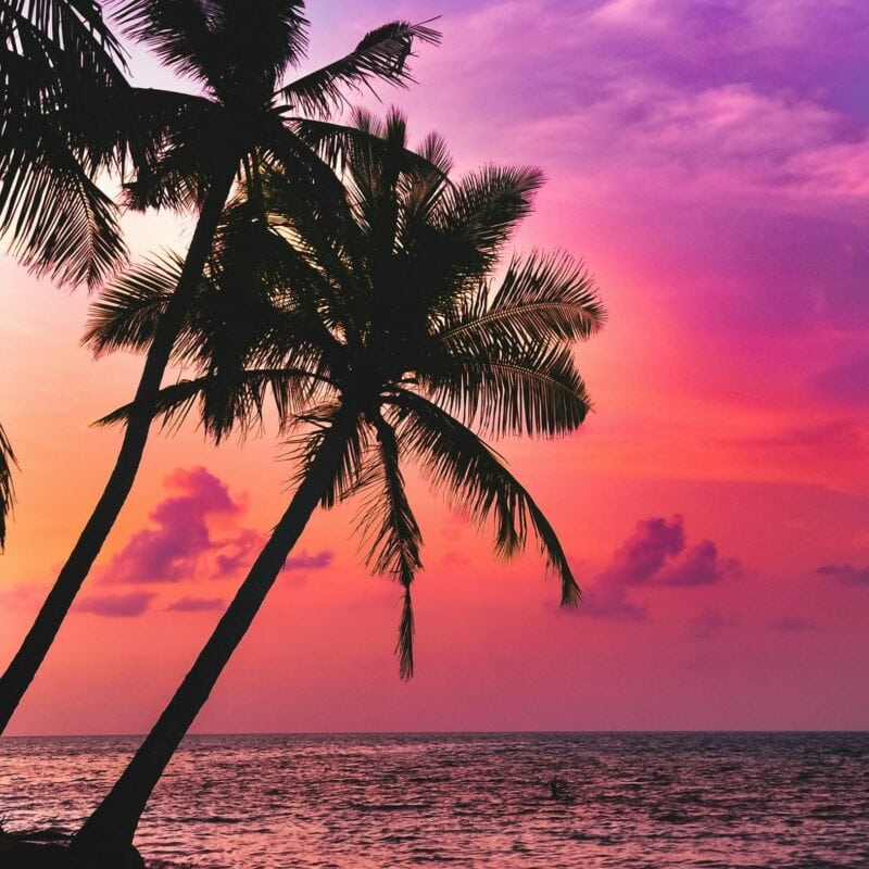 Tropical Holidays - Image by Saiph Muhammad on Unsplash